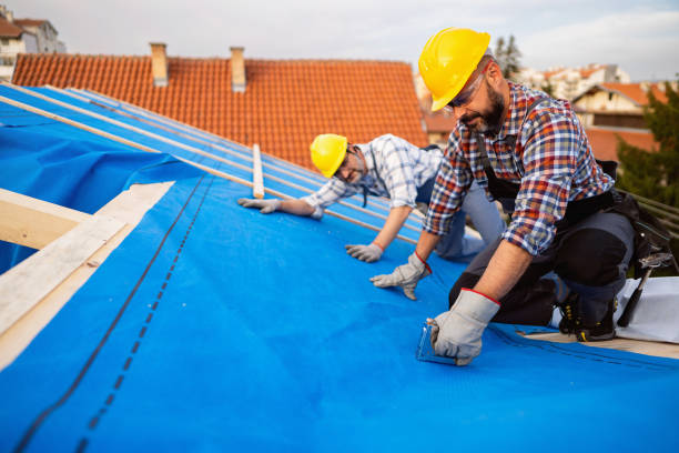 Best Storm Damage Roof Repair  in Leonardo, NJ