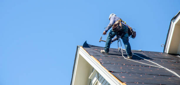 Best Gutter Installation and Roofing  in Leonardo, NJ